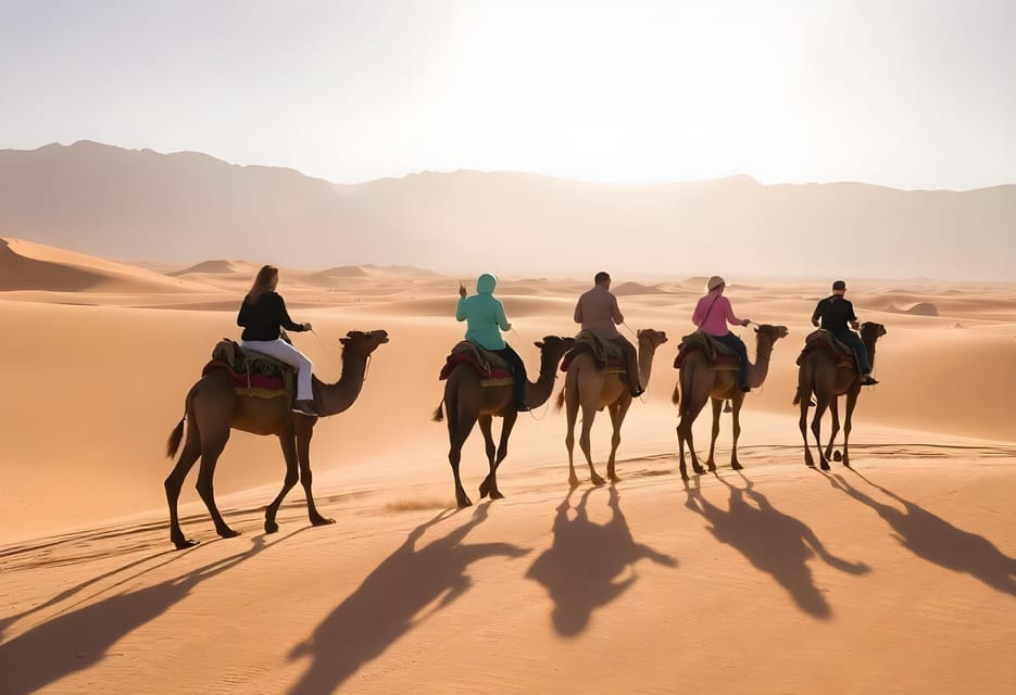 Sharm El Sheikh: Desert Safari with ATV Biking and Stargazing